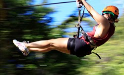 Canopy Adventure